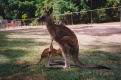 Australia_0051